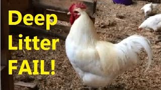 Deep Litter Bedding FAIL! | Why do we have a smelly coop?
