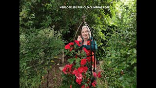 NEW OBELISK FOR OLD CLIMBING ROSE