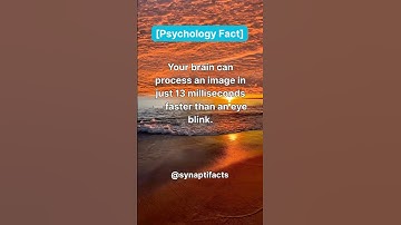 Psychology - Your brain can process an image in just 13 milliseconds