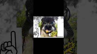 My First Edit Its Very Random