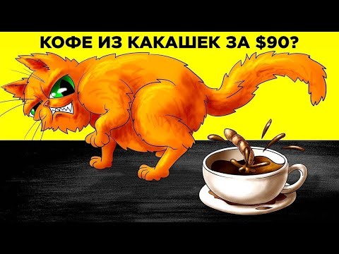 Самые Дорогие Напитки