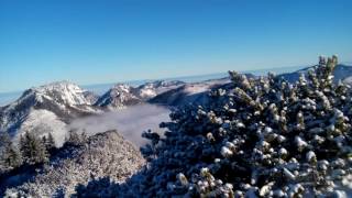 Eibenberg -- Winter morning