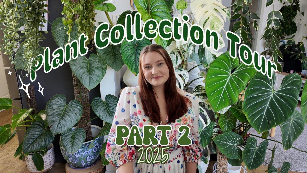 Houseplant collection tour  2026🌱 |Part 2