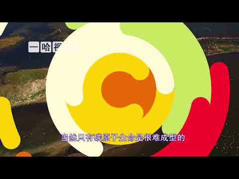 为何科学家们坚信，除碳基生命外，宇宙不可能存在其他基础生命？