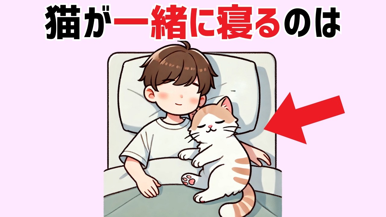 猫好き必見！【猫の雑学160選】99%の人が知らない驚きの豆知識