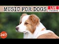 Live dog musicrelaxing soothing music for dogsanti separation anxiety relief musicdog sleep3