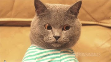 Clojure REPL tip: Dust yourself off and try again