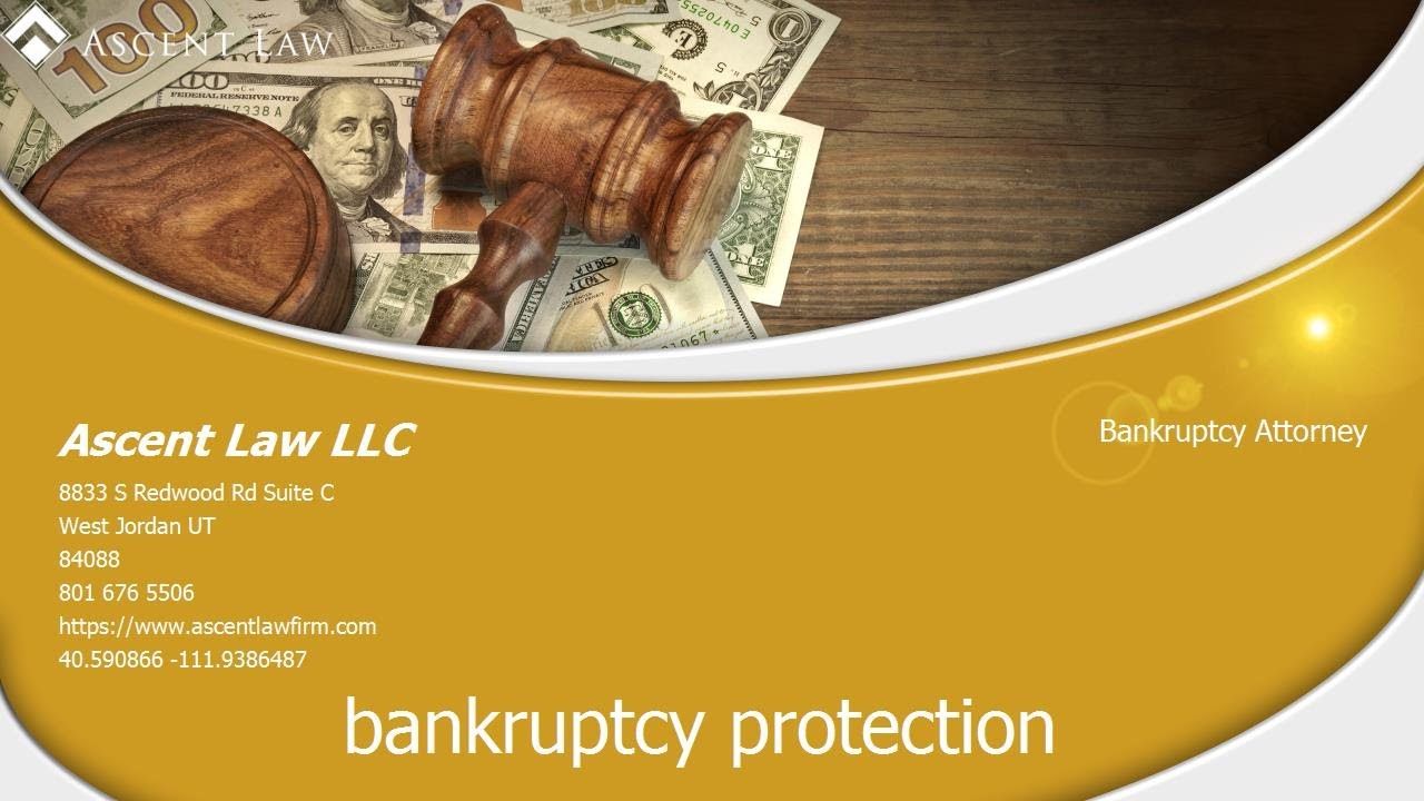 Bankruptcy Dismissed Meaning YouTube