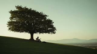 Lost in Nature… Soft Guitar for Relaxation screenshot 5