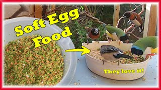How To Make Soft Egg Food For Your Finches. For Conditioning & Rearing chicks screenshot 5