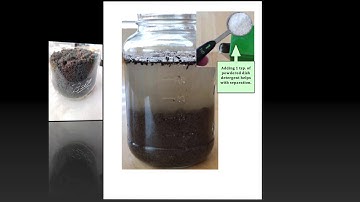 Soil Jar Test: Estimating Soil Texture - Sedimentation in a Jar 2019
