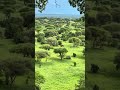 @PoriQuestSafaris