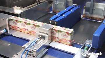 XP650 ARX-VS – Fardellatrice automatica – Fruit Juice 3