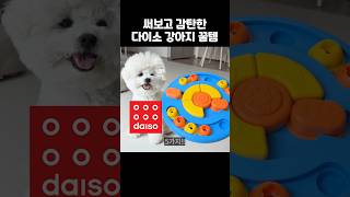 와...강아지 키우면 다이소 꼭 가세요