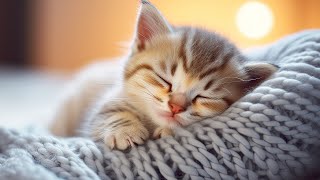 Calming Music for Anxious Cats: Soothing Sounds for Deep Relaxation and Sleep