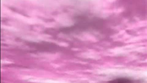 الشيخ سلطان العمري من سورة الزمر