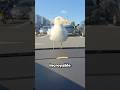 He Had No Idea Seagulls Could Do That ЁЯШ He Had No Idea Seagulls Could Do That ЁЯШ