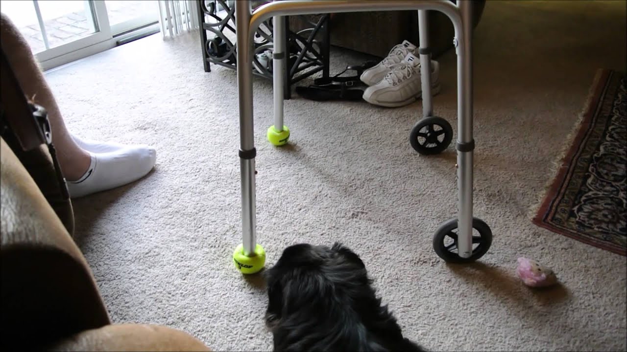 Brand New Walker Balls YouTube