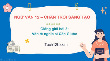 Giảng bài 3: Văn tế nghĩa sĩ Cần Giuộc | Bài giảng ngữ văn 12 chân trời sáng tạo