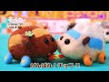 『PUI PUI モルカー』キャラクター紹介 vol.4【チョコ】