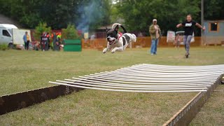 Apbt Kraken. Jumpngym Fest 2022. Vol. 2.0