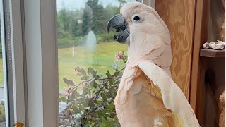 There’s actually something exciting on neighbour TV today! 😂🧡💖