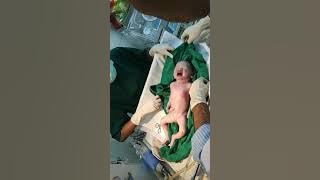 Video bayi baru lahir