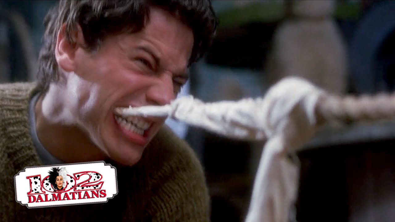 Tug of War, Dog vs Man | (1/15) Movie Scenes | 102 Dalmatians (2000) HD, image size:1280x720