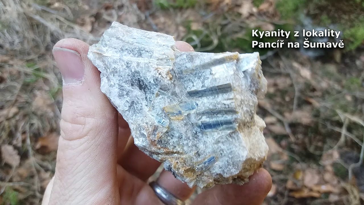 Hledání kyanitu u Pramenů - Slavkovský les (Březen 2020)