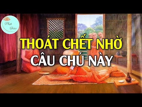 Video Niệm Phật Thoát CHẾT - Những Câu Chuyện Niệm Phật Linh... - youtube