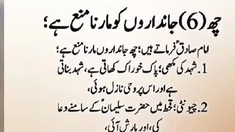 Islamic Knowledge by ZKstudystudio