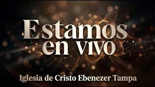 El Juicio del Amor | Pra. Lisney de Font | 07 22 2026