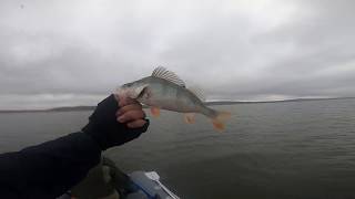 Казахская снасть на ОКУНЯ :) СУДАК и ОКУНЬ в сентябре на ДЖИГ! Рыбалка в Казахстане