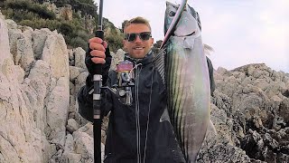 SHORE JIGGING - Una palamita invernale / A winter atlantic bonito