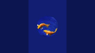 ♓️PISCES♓️ HUMPDAY WEEKLY JUNE 10th to 16th 2026