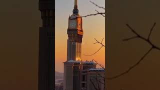 #teamfx screenshot 5