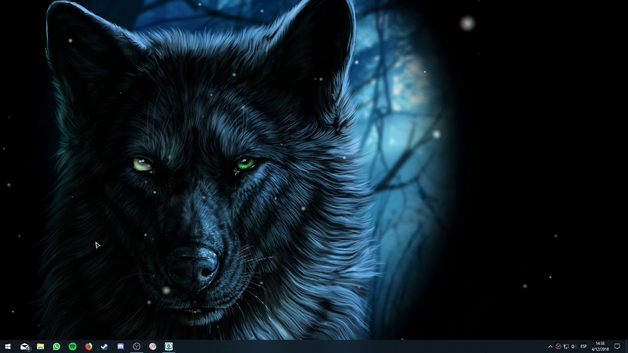 440 Wallpaper Live Burung Hantu HD Terbaru