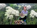 Mountain snail season has arrived  giant mountain snails are starting to appear building free life