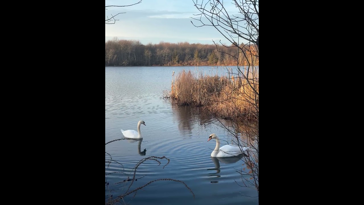 AI doesn't appreciate nature. Humans do.