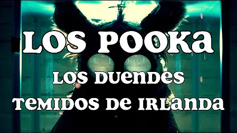 ¿Qué es un Pooka irlandés?