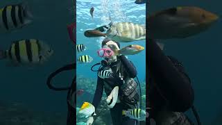 You'll never guess what divers fear the most (it's NOT a shark)
