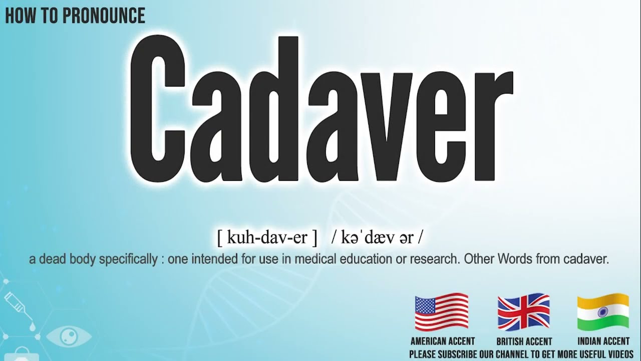 Cadaver Pronunciation How to Pronounce (say) Cadaver CORRECTLY
