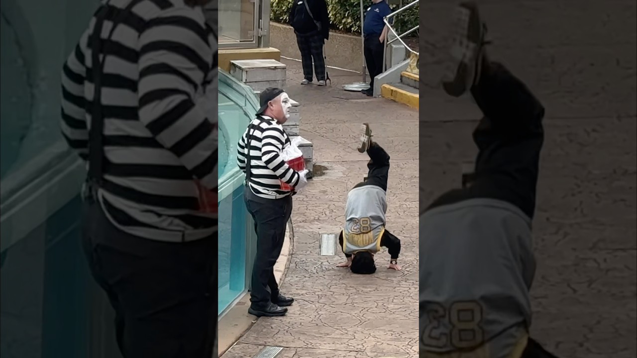 He didn’t expect that 💀😬 Tom mime Seaworld 