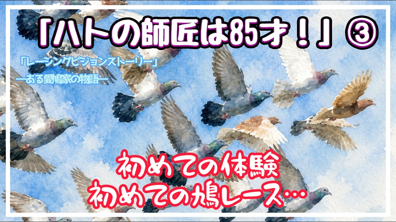 Racing Pigeon Story: The Tale of a Pigeon Fancier - 