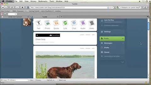How to Delete All Posts on Tumblr Using Mass Editor