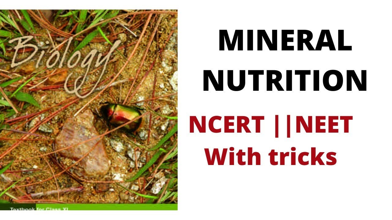 MINERAL NUTRITION NCERT CLASS 11 th YouTube