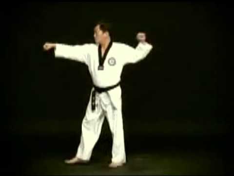 1 TAEGUK IL CHANG TAEKWONDO MOO DUK KWAN CDAMCHR