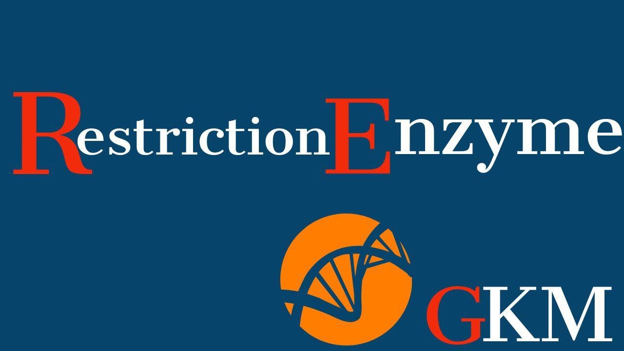 Restriction  enzyme | (انزيم) انزيمات التقييد