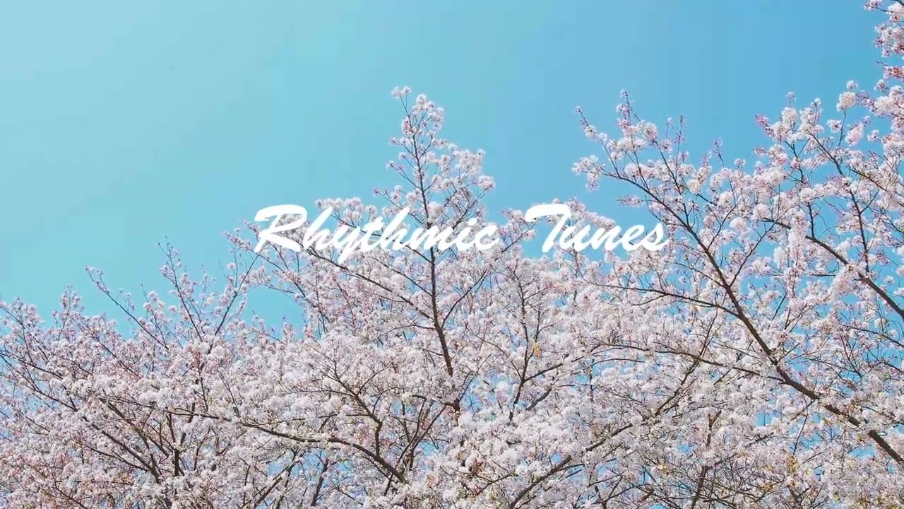 Piano Reflections | Lofi Music to Enhance Studying | (Rhythmic Tunes)