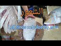 طريقة تنظيف وتجهيز سمك الشعور(Lethrinus nebulosus وأعدادها جزل